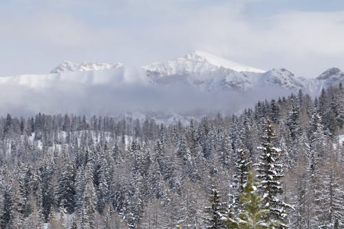 冬季仙境, 多洛米蒂山脈 的 免费素材图片