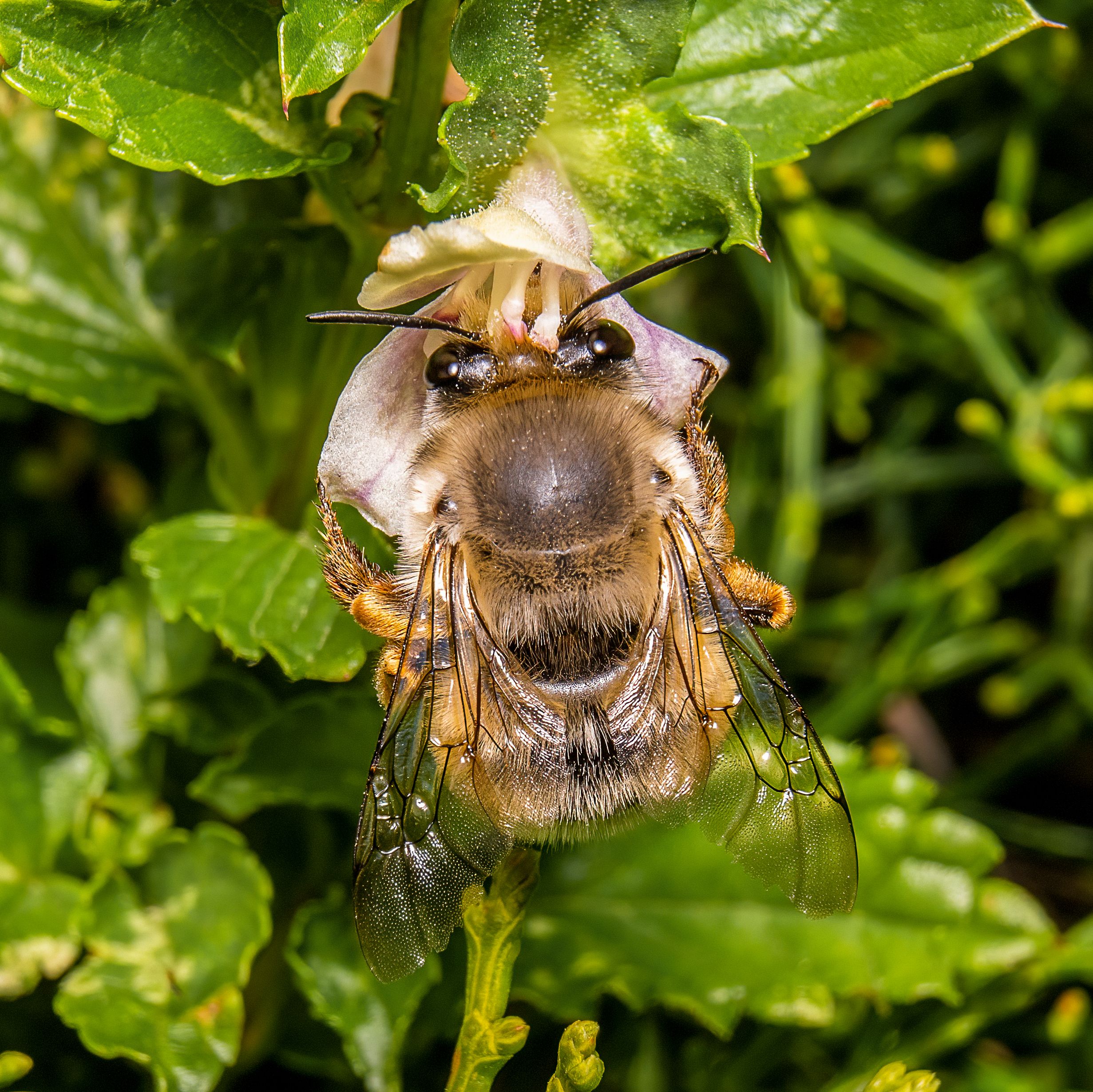 Ark Valley Civics Bee Competition to Send Three Local Students to State — Photo by chris clark on Pexels
