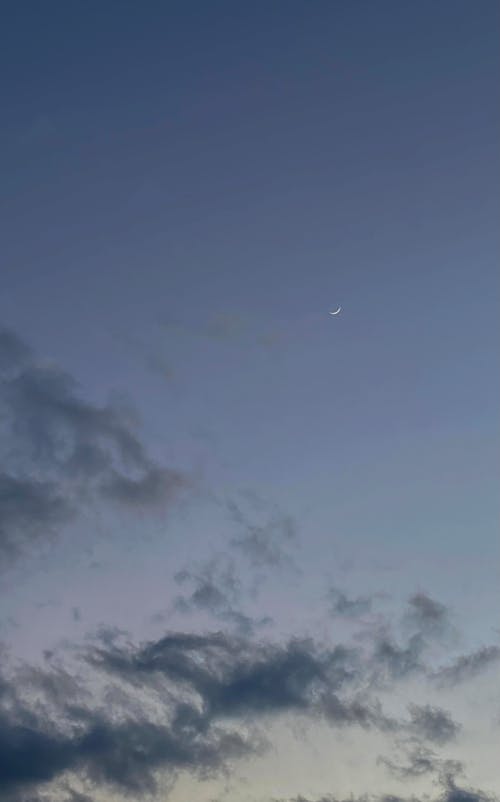 높은, 달, 분위기의 무료 스톡 사진