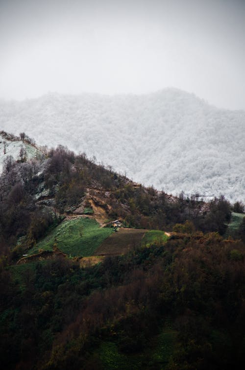 Snow on Hills in Winter