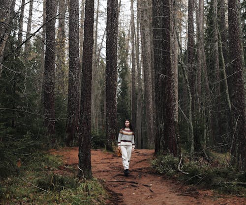 Immagine gratuita di alberi, boschi, donna