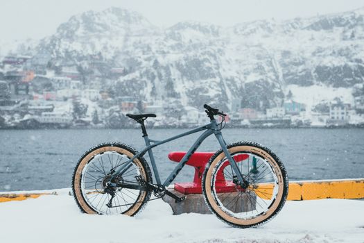 A bicycle stands in the snow by a winter shoreline with a picturesque village in the background.