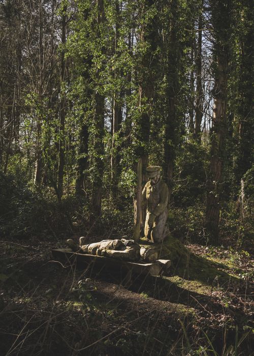 Free Atmospheric forest scene with a moss-covered wooden sculpture amid lush greenery. Stock Photo