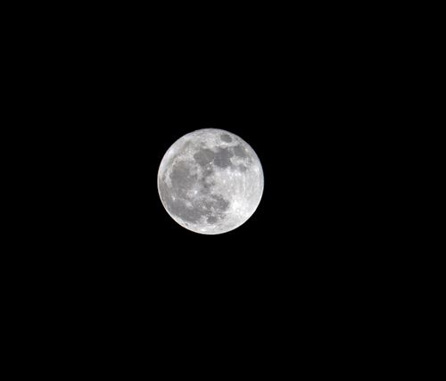 Free Clear and sharp image of a full moon against a dark night sky in Delray Beach. Stock Photo
