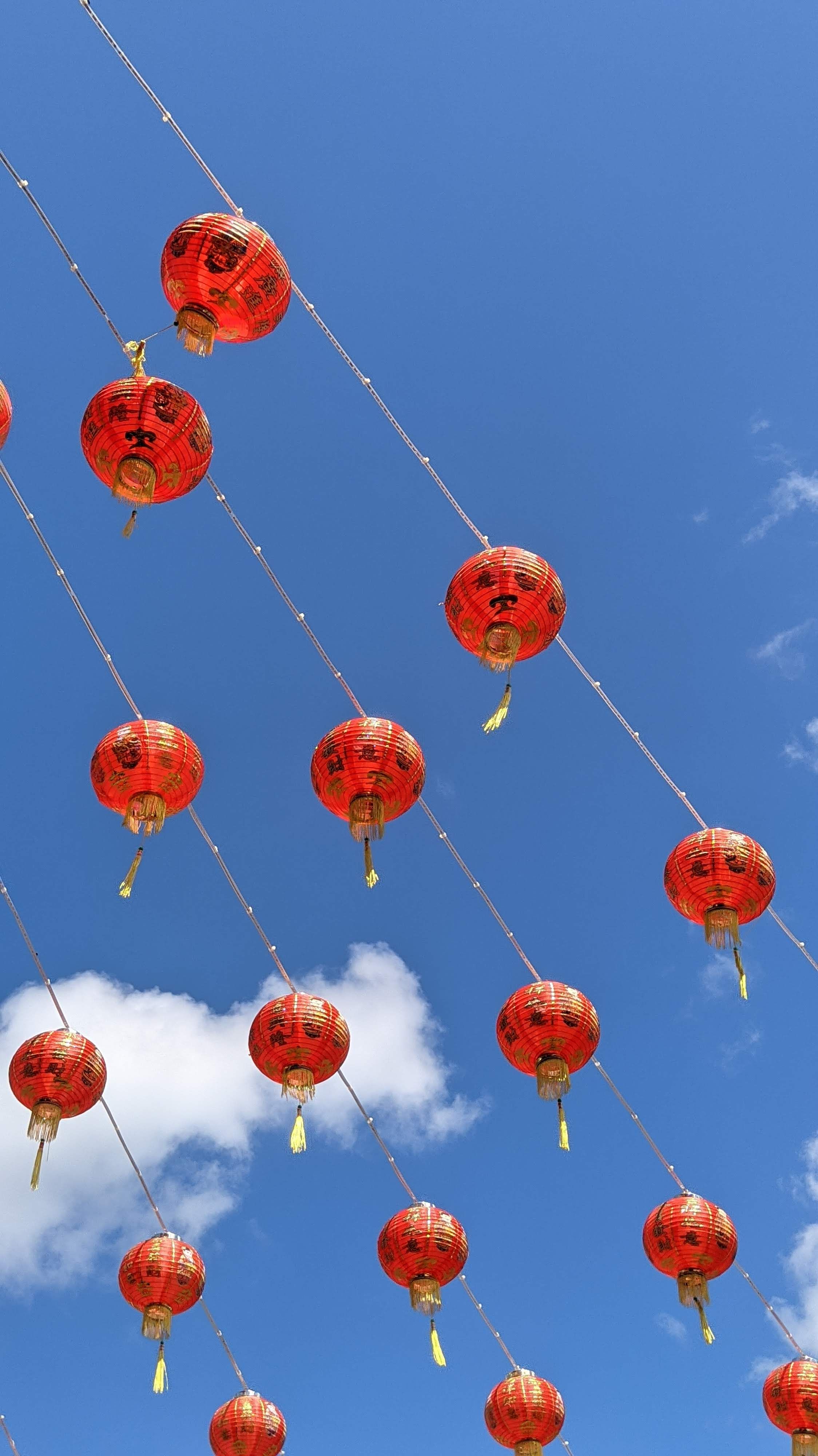 Chinese Lanterns Under the Blue Sky · Free Stock Photo