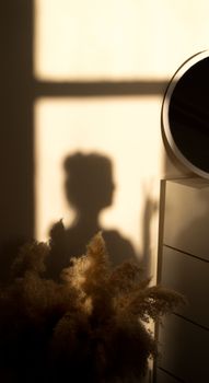 Elegant silhouette of a person on a wall in a sunlit room with pampas grass decor.
