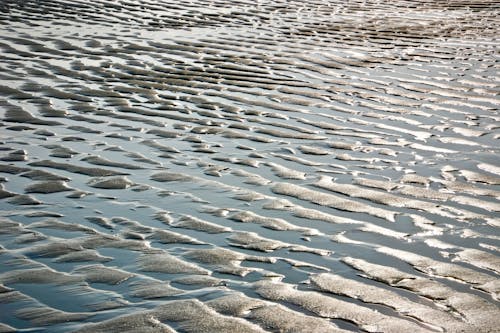 Gratis lagerfoto af bølger, seawaves, vand