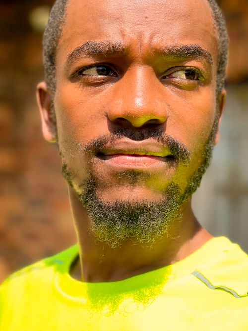 Free stare Stock Photo
