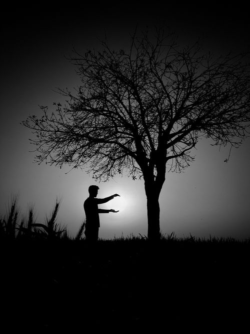 Free stock photo of adult, autumn trees, black and white Stock Photo