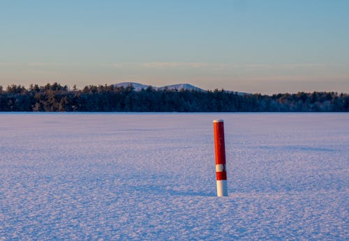 감기, 겨울, 기둥의 무료 스톡 사진
