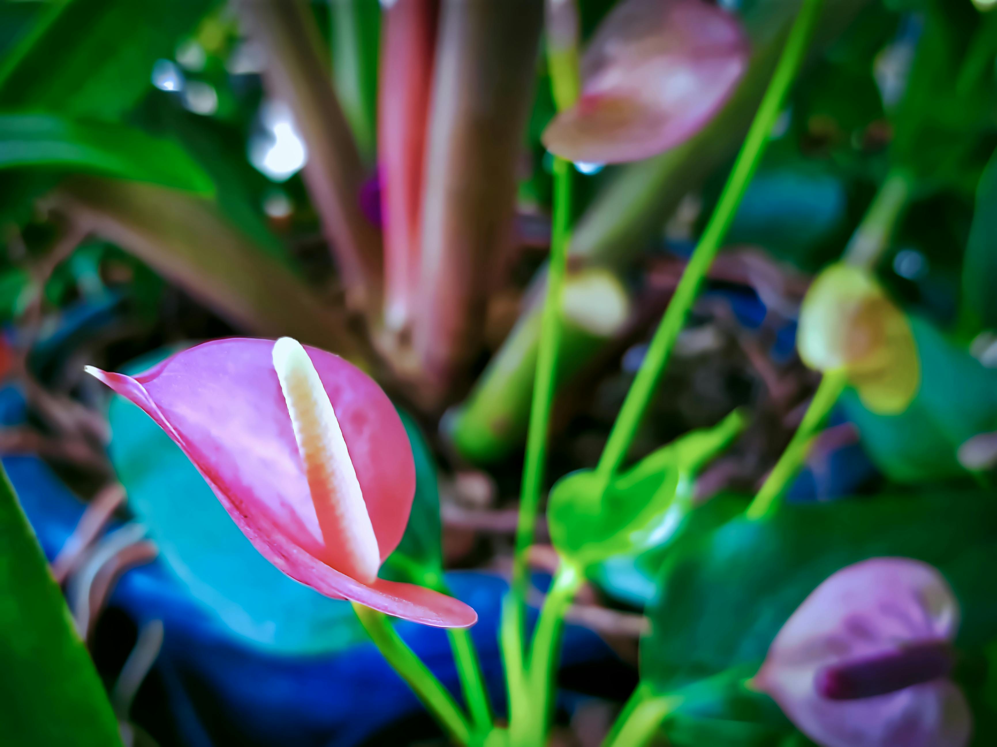 Puente moderno de hormigón curvándose sobre el agua