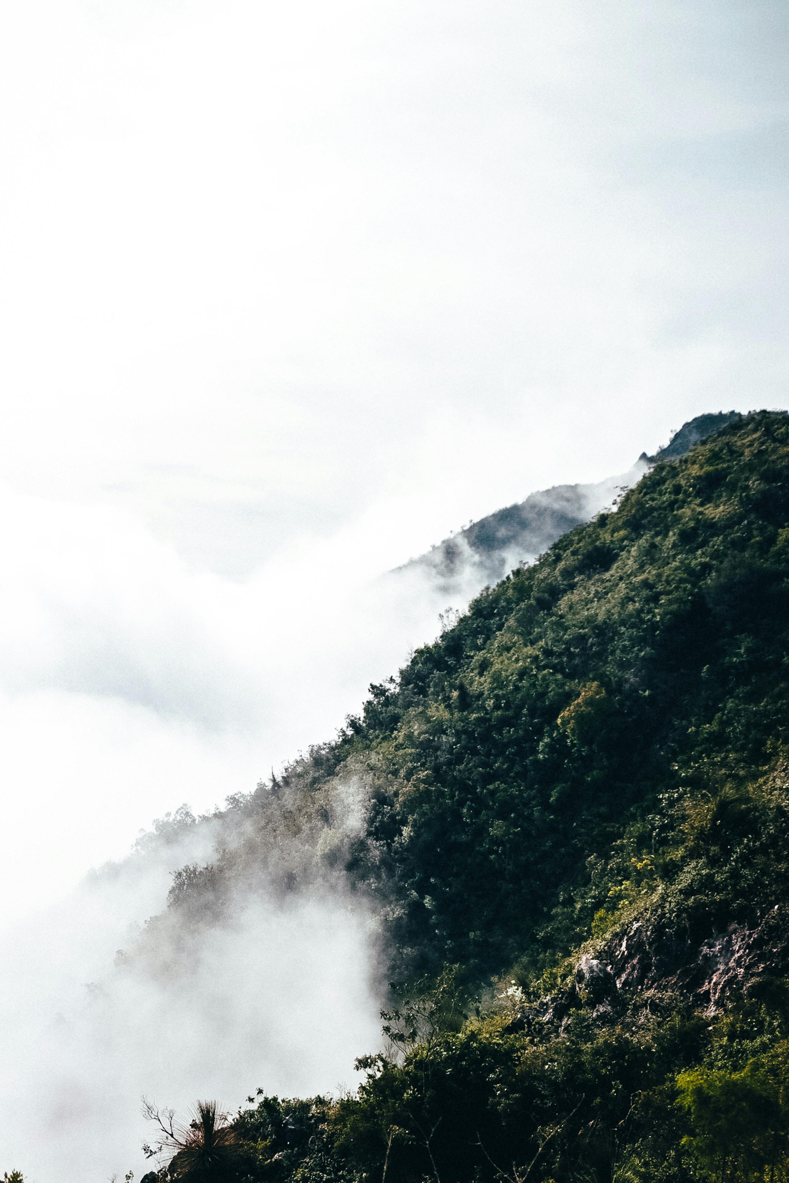 A breathtaking view of a misty mountain covered in lush greenery, creating a serene natural landscape.