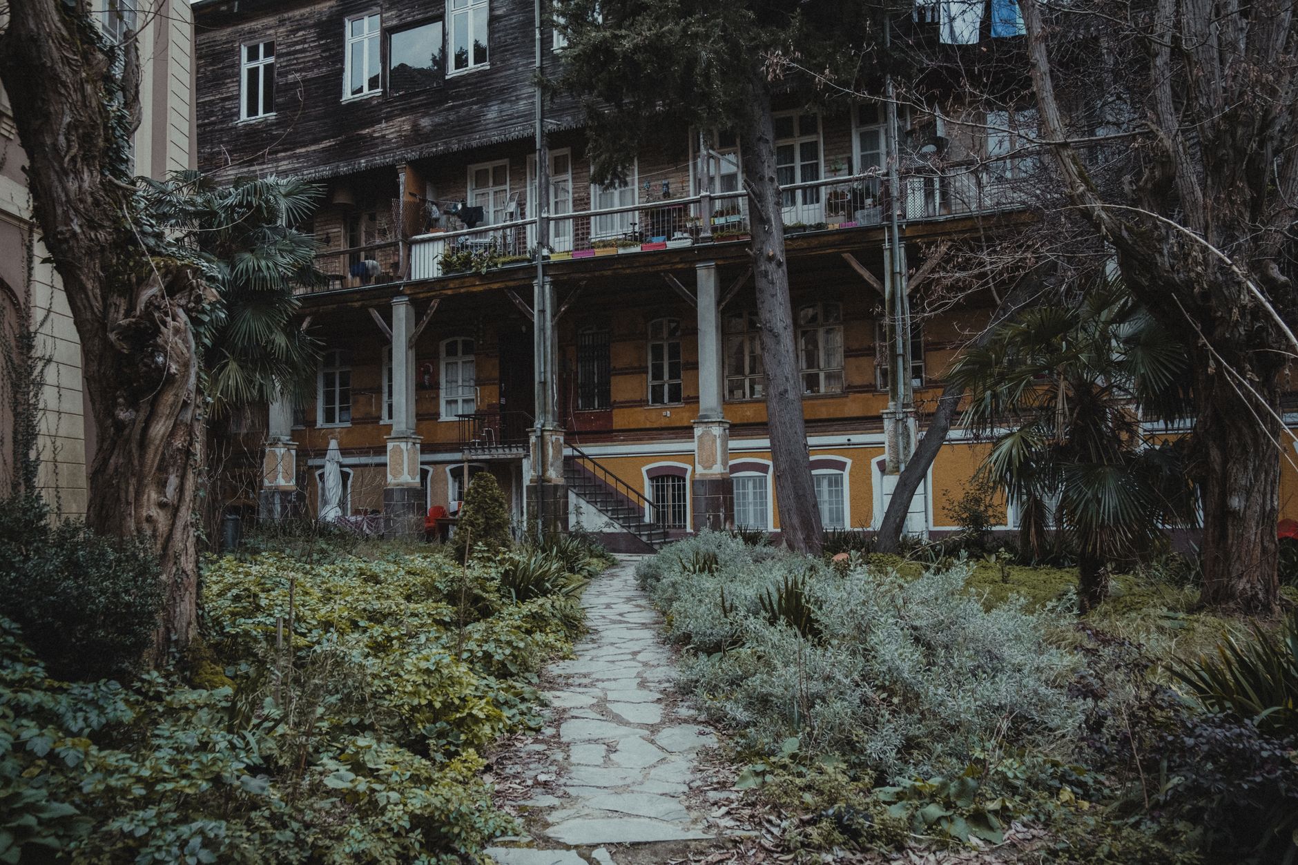 Leafy residential street with early 20th century townhouses in Oborishte district, Sofia