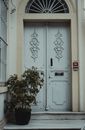 White Wooden Door With Green Plant