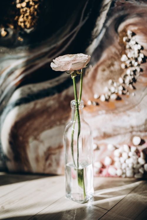 Free A single pale pink flower in a glass bottle against a textured artistic background. Stock Photo