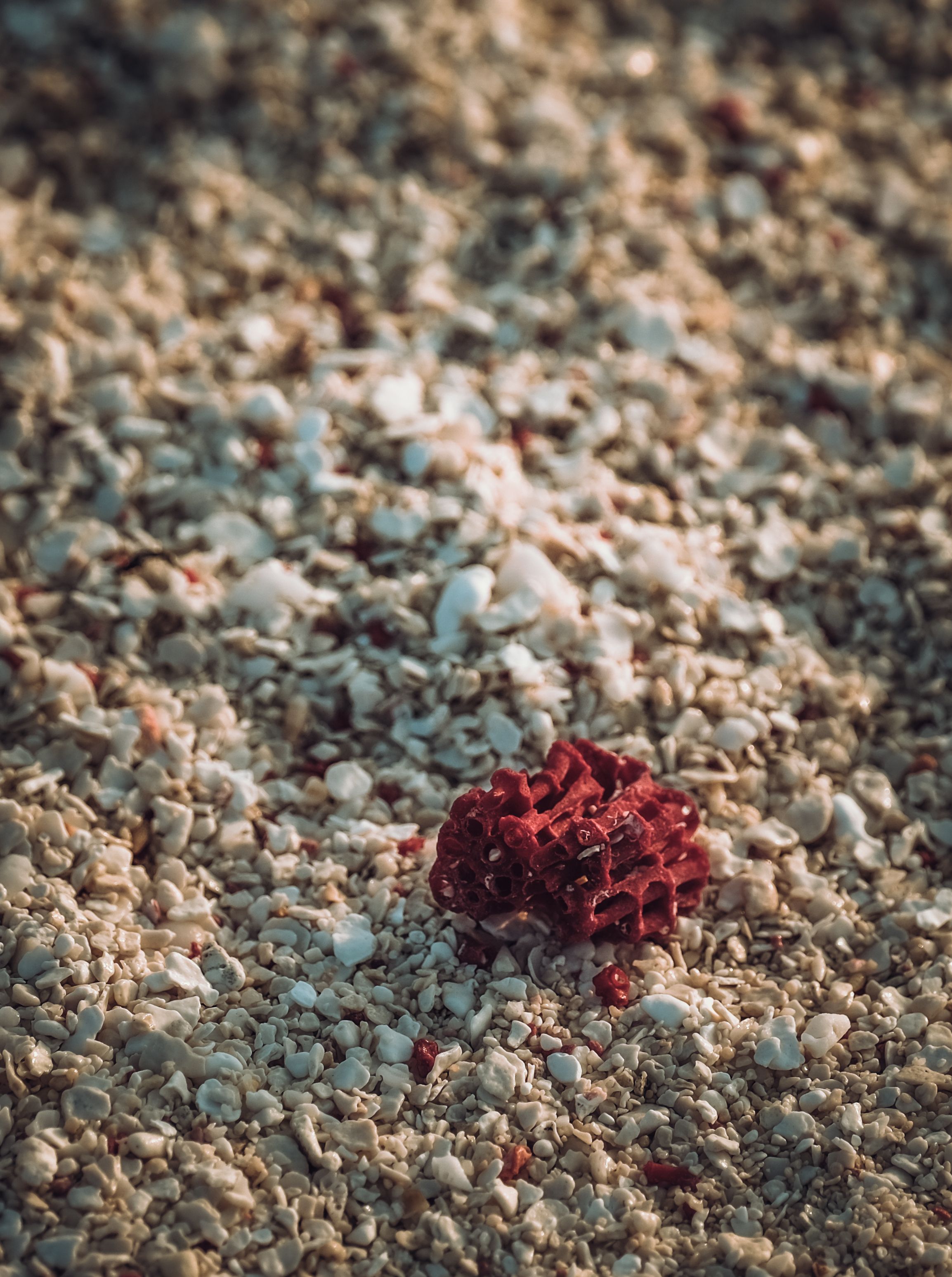 Pink Beach