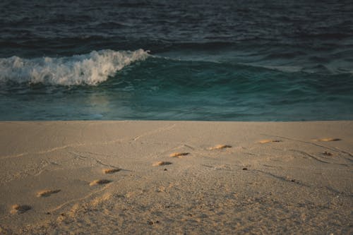 Foto profissional grátis de areia branca, borrifar, corpo d'água