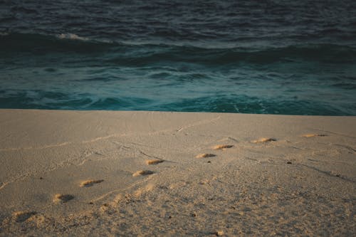 Footprints in the White Sand