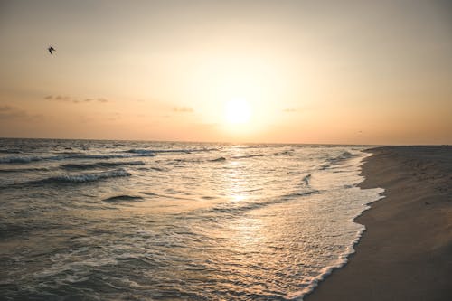 Fotos de stock gratuitas de amanecer, arena, dice adiós