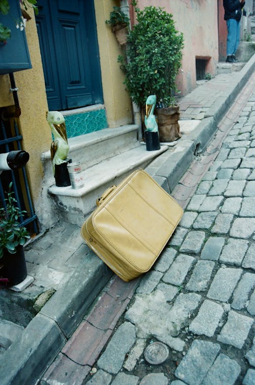 Gratis Immagine gratuita di bagagli, passi, pianta in vaso Foto a disposizione