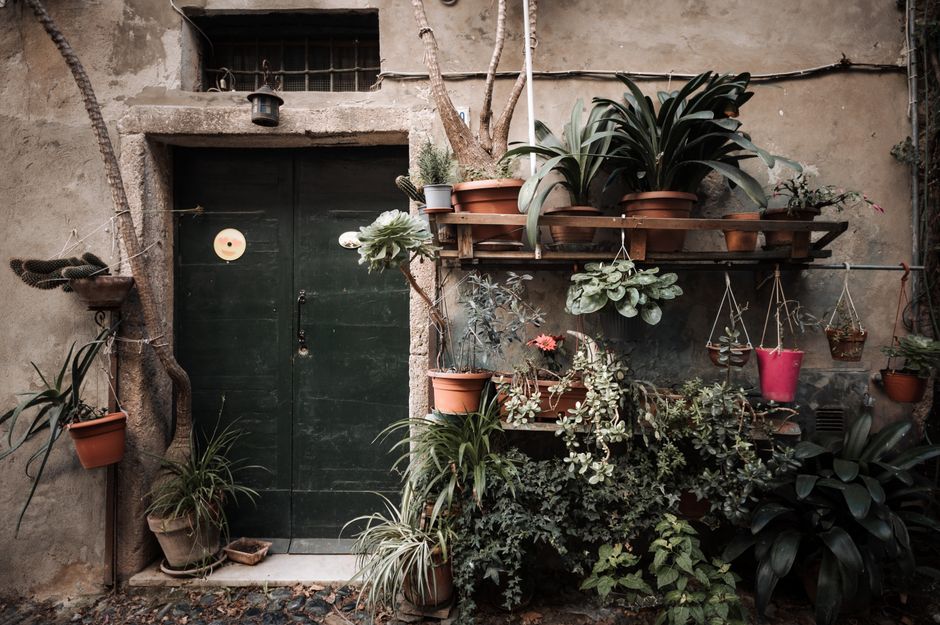 A rustic doorway adorned with lush potted plants and greens, creating a charming garden vibe.