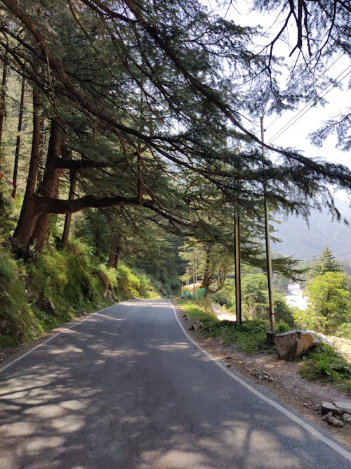 A beautiful road in Himachal Pradesh, India