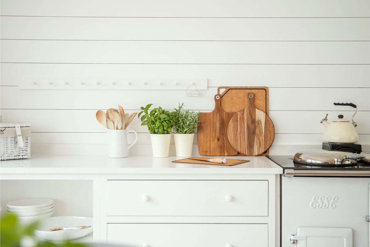 Potted basil and rosemary on a kitchen counter Basil and rosemary growing in pots on a bright kitchen counter