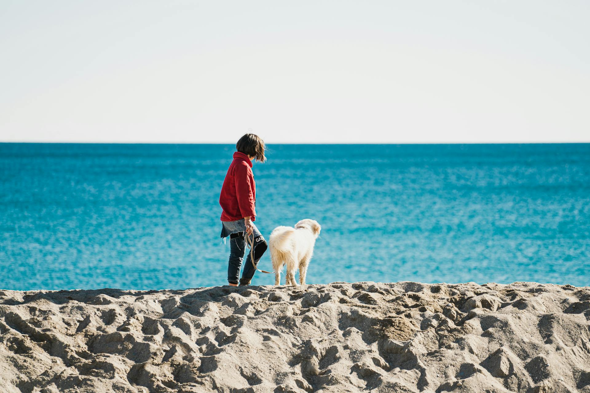 Kid and a Dog Standing on the Beach