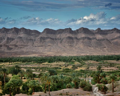 Free Mountains on the Desert Stock Photo