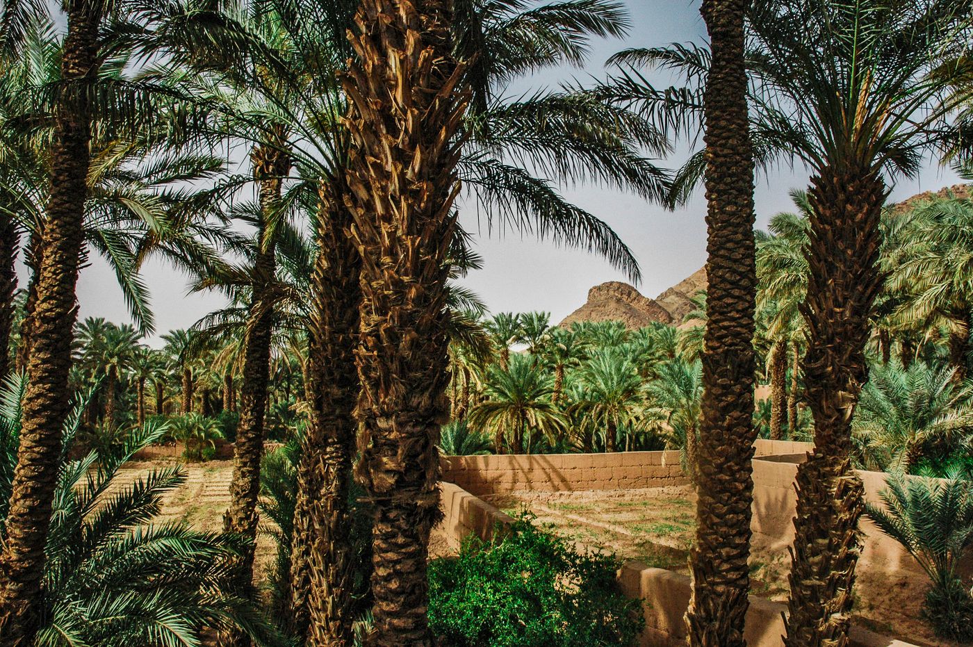 Zagora, Morocco — real-location travel photograph