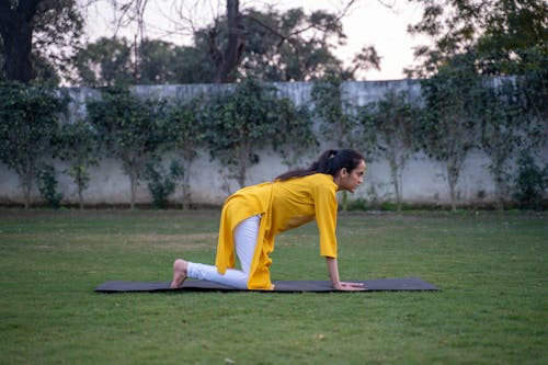 Darmowe zdjęcie z galerii z fitness, hinduska, joga