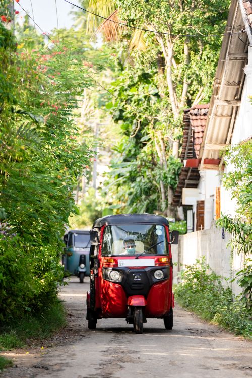 Free A vibrant red tuk-tuk navigates a lush green village road, passing by houses. Stock Photo