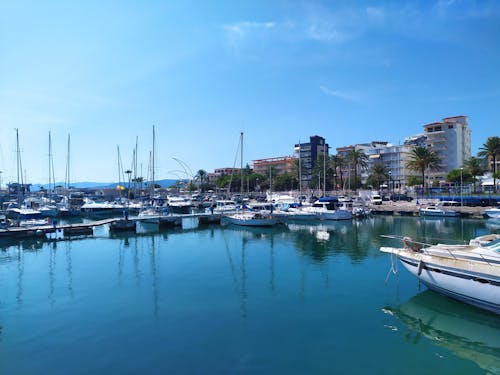 Základová fotografie zdarma na téma gandia, Španělsko