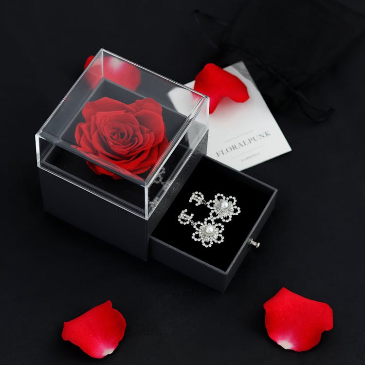 Red Rose In A Clear Box Beside A Box Of Earrings