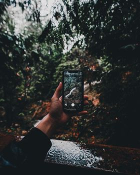 Person photographing forest scenery with a smartphone outdoors.