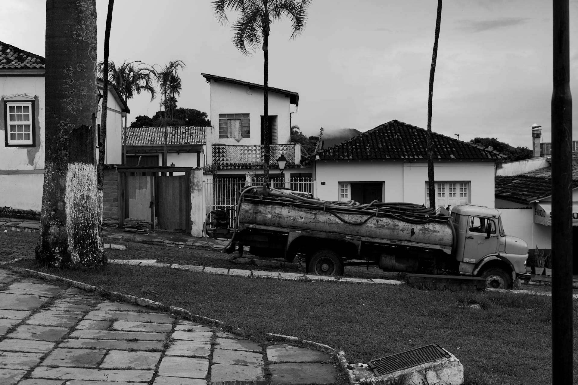 Black and white photo of a vintage truck in a suburban street lined with palm trees, evoking nostalgia.