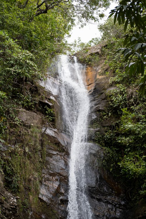 A Waterfalls Between Green Trees