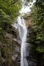 A Waterfalls Between Green Trees