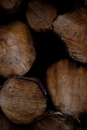 Brown and Black Wood Log