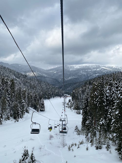 Foto profissional grátis de árvores, com frio, elevador de esqui
