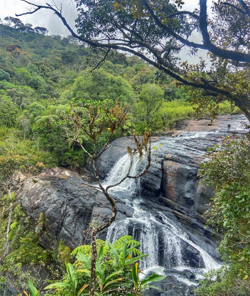 斯里蘭卡, 旅行, 水流动 的 免费素材图片