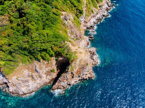 Green and Brown Island Aerial Shot