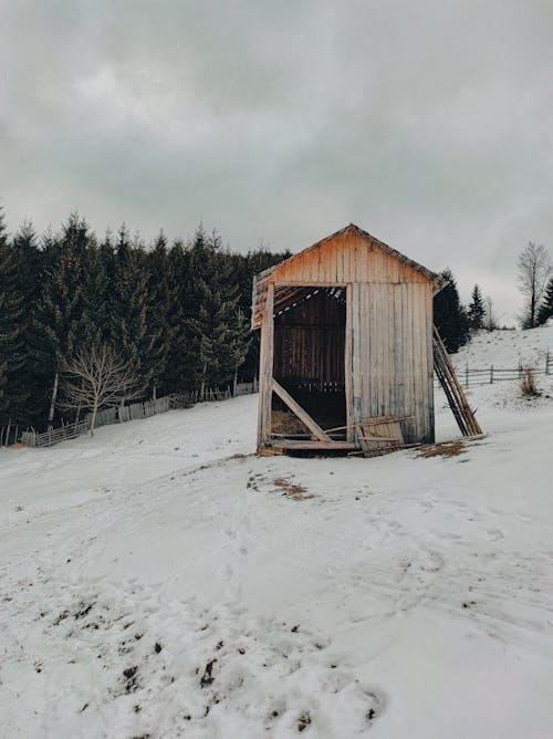 Brown Wooden Barn on Snow Covered Ground Near Woods