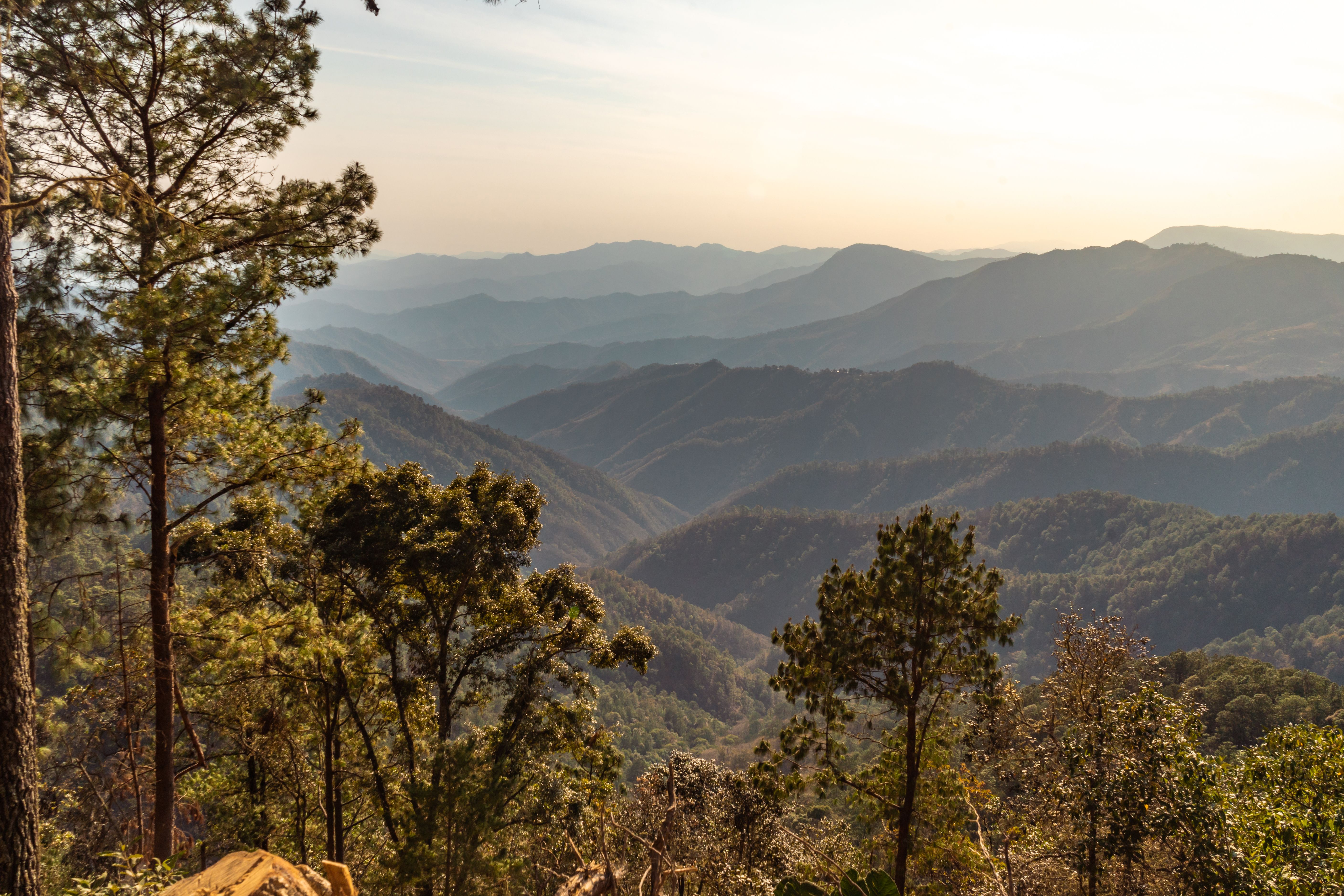 Spectacular Cabo Pulmo National Park Snorkel Expedition from Cabo San Lucas Review 2026 - Breathtaking view of lush mountains and trees in El Pacífico, Oaxaca, Mexico during daytime.