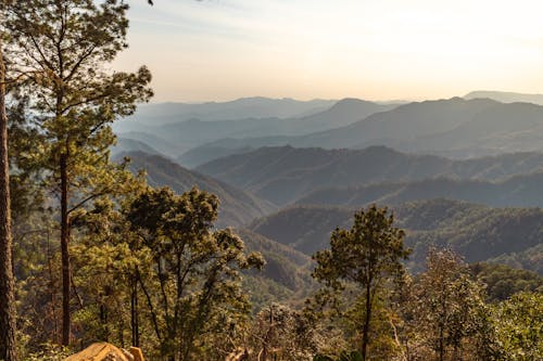 天性, 山, 景觀 的 免费素材图片