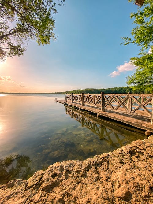 Foto profissional grátis de água parada, cais, floresta