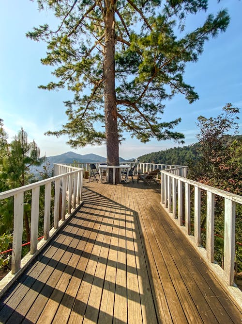 Free A Walkway Leading to a Tree at a Scenic Deck Stock Photo
