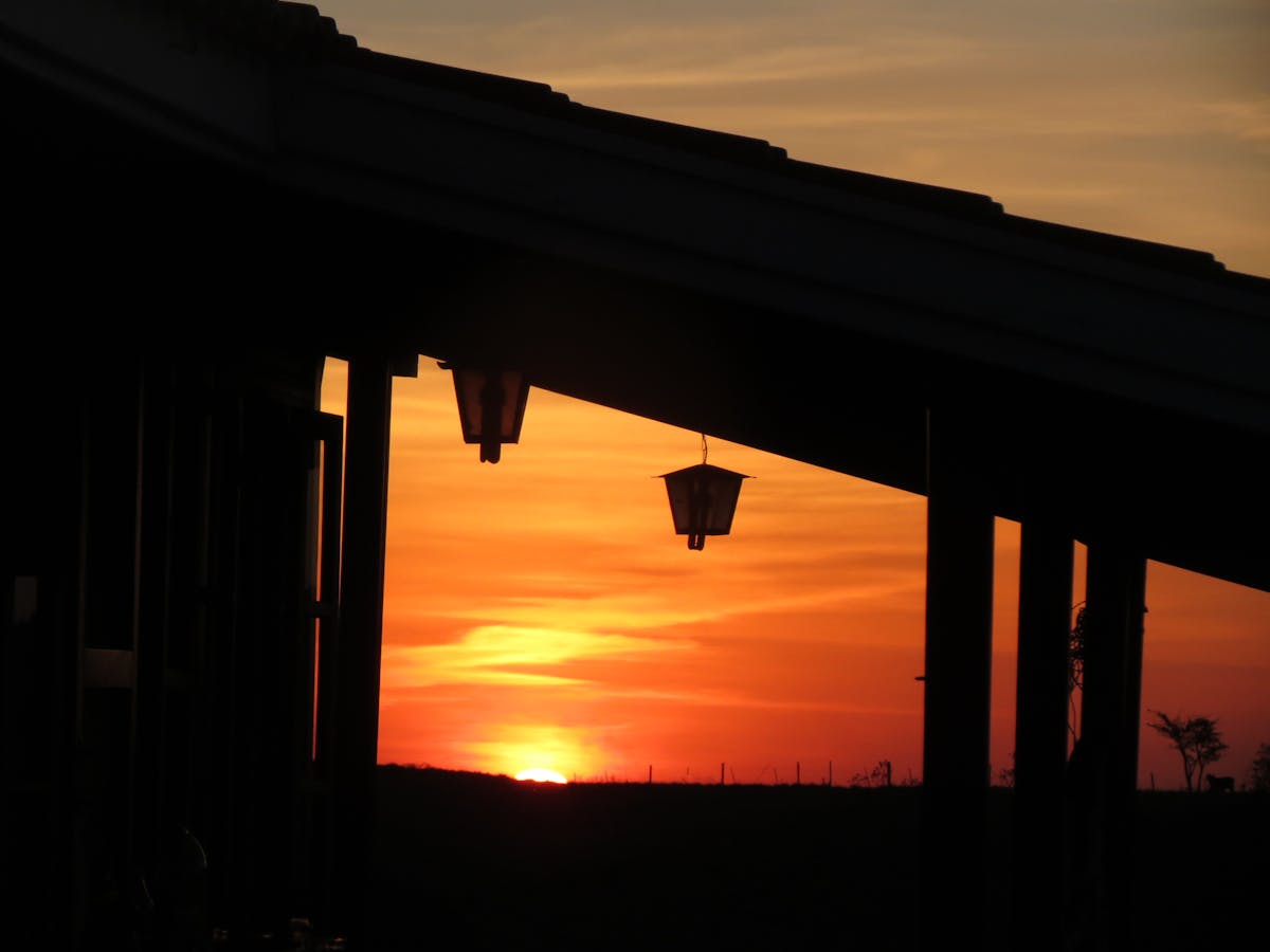 Silhouette of a woman soccer player celebrating a goal in a stadium