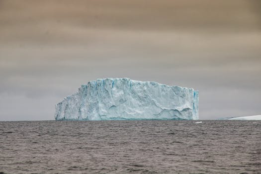 An Iceberg on the Sea