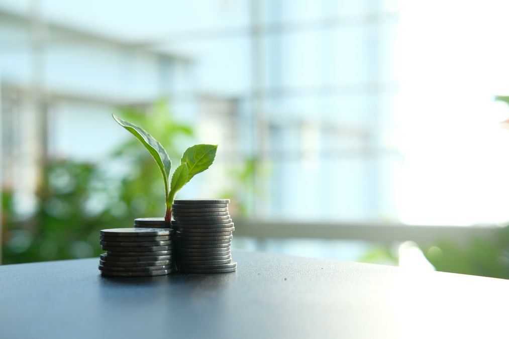Pequena planta brotando sobre pilhas de moedas, representando o crescimento de investimentos em renda fixa